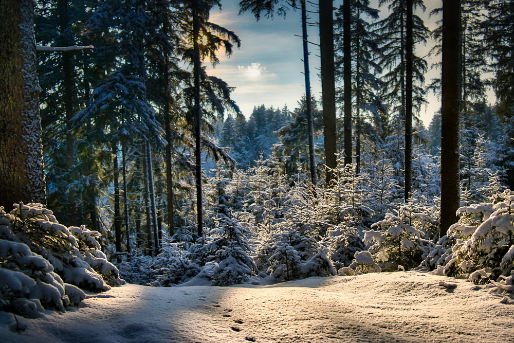 Platz 10 Harald Unglert